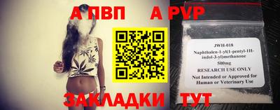 МДПВ Кингисепп