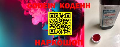 МДПВ Кингисепп