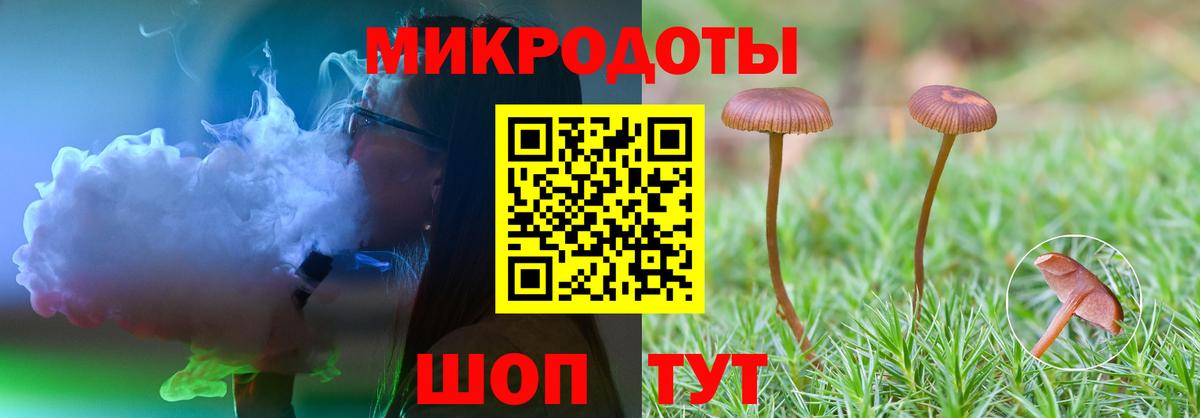 Галлюциногенные грибы Cubensis  Вход с VPN  Фурманов  Псилоцибиновые грибы Psilocybine cubensis 